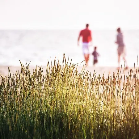 Hotel Meeressterne Forsthaus Damerow 4*