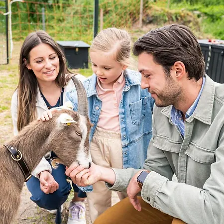 Hotell Meeressterne Forsthaus Damerow 4*