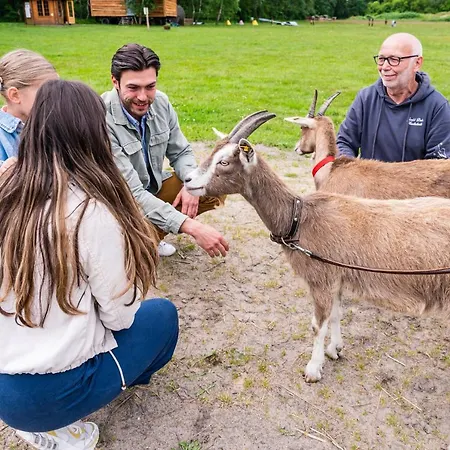 Meeressterne Forsthaus Damerow 4* Козеров