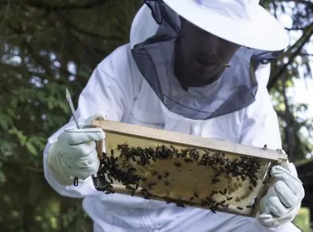 Hotel Meeressterne Forsthaus Damerow Koserow