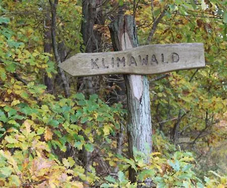 Meeressterne Forsthaus Damerow Hotell