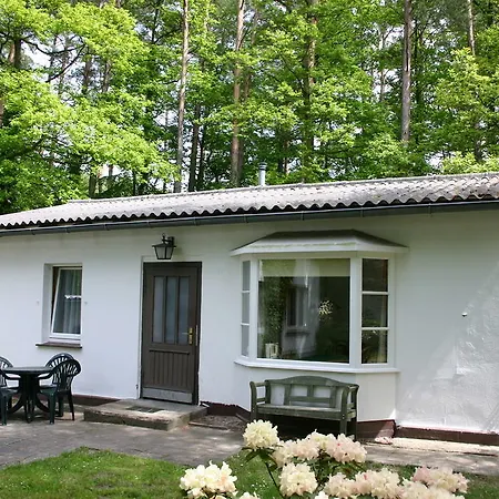 Отель Meeressterne Forsthaus Damerow 4*