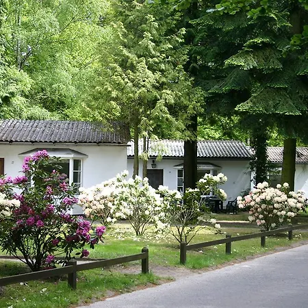 Meeressterne Forsthaus Damerow 4* Козеров