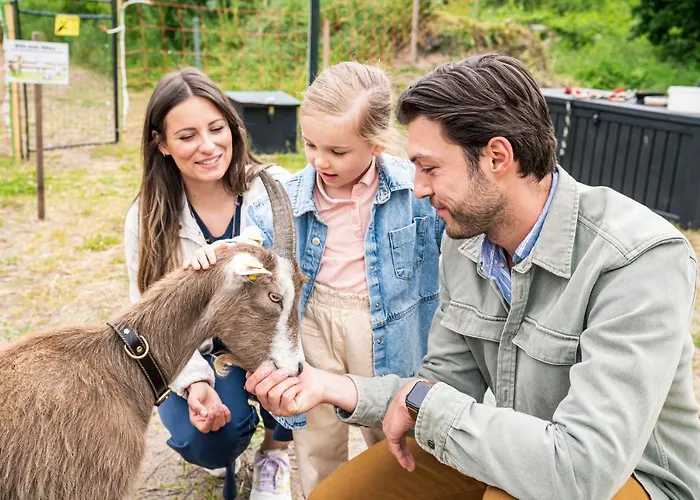 Отель Meeressterne Forsthaus Damerow 4*