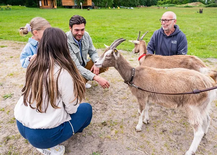 Meeressterne Forsthaus Damerow 4* Козеров