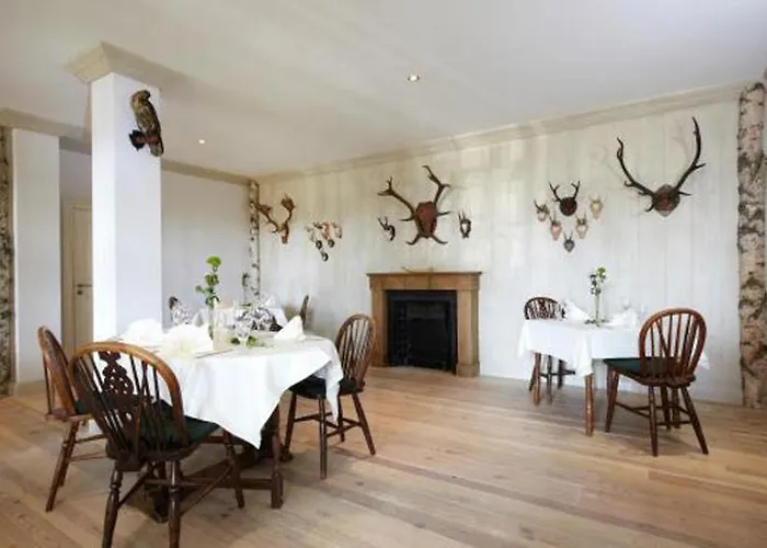 Meeressterne Forsthaus Damerow 4*