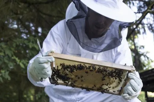 Отель Meeressterne Forsthaus Damerow Козеров